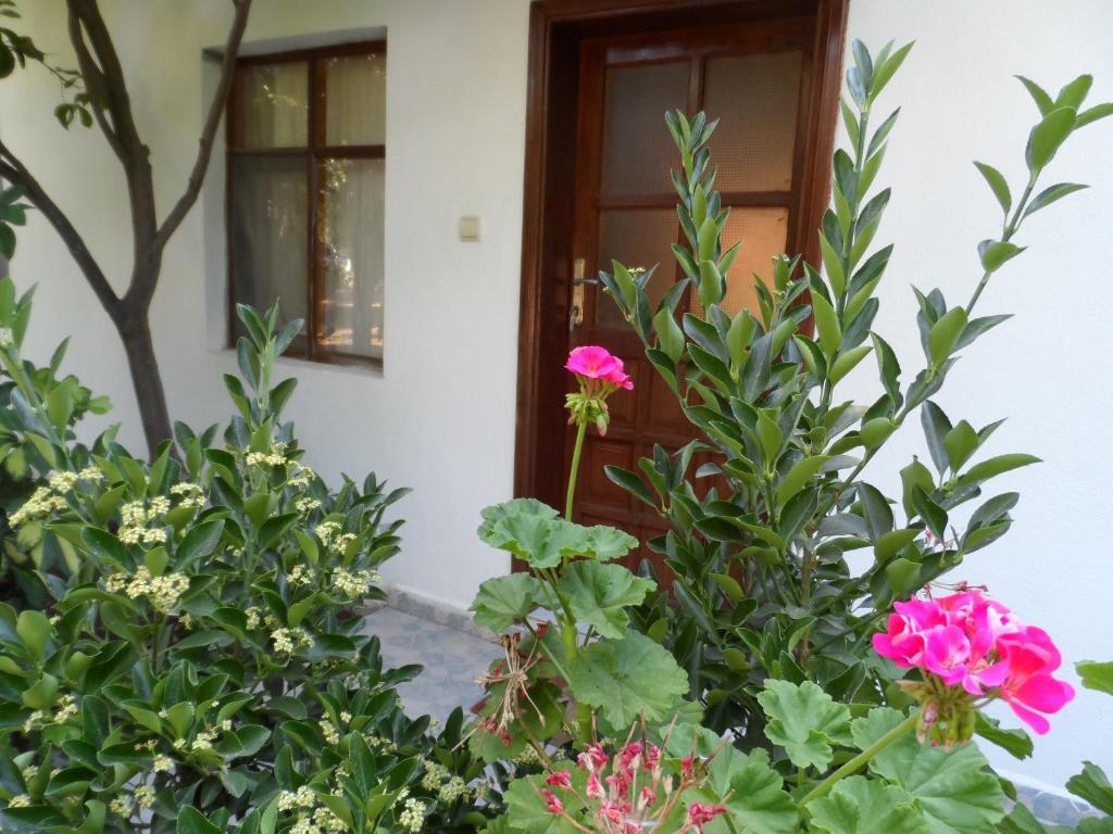 Engin Pension Çıralı Habitación foto