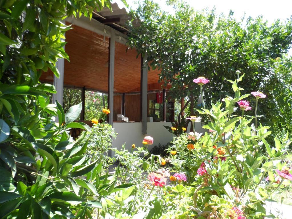 Engin Pension Çıralı Exterior foto